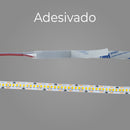 Fita LED 2835 12V 9,2W/m 240 LEDs/m 3000K Branco Quente 5 Metros para Perfil Arion Astraled ST3333