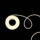 Rolo 5m Fita Led Neon 4000K 50w 12v Ip65 FT81027 St2187