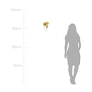 Arandela Zeki ZR143-GD Starlux + Filamento LED G95 4W ST2635-Starlux-Starlumen