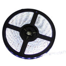 FITA LED 12V 14,4W/M 6000K IP65 5M St5050-Starlumen-