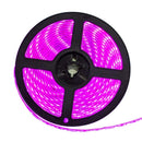 FITA LED 12V 14,4W/M Luz Rosa IP65 5M St5050-Starlumen-