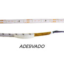 FITA LED 12V 4,8W/M Luz Azul 3528 300LEDS IP65 5M ST3528-Starlumen-