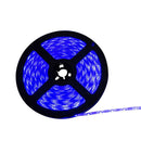 FITA LED 12V 4,8W/M Luz Azul 3528 300LEDS IP65 5M ST3528-Starlumen-