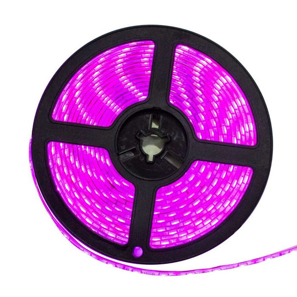 Fita Led 5050 5m Luz Rosa St5050