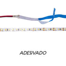 Fita de Led Branco Frio 2835 Rolo 5m 120LED/metro 12v DS5018 St2835-Starlumen-