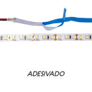 Fita de Led Branco Neutro 2835 Rolo 5m 120LED/metro 12v DS5020 St2835-Starlumen-