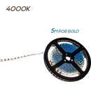 Fita de Led Branco Neutro 2835 Rolo 5m 120LED/metro 12v DS5020 St2835-Starlumen-