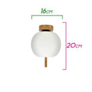 Plafon Apple com Globo em Vidro Leitoso PL-SU31098-1 Starlux ST1707