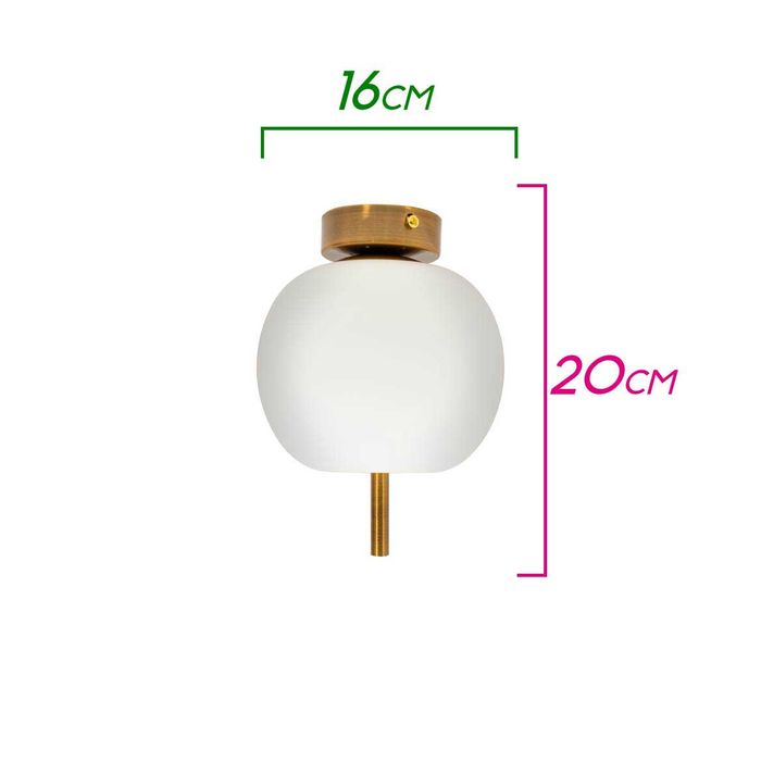 Plafon Apple com Globo em Vidro Leitoso PL-SU31098-1 Starlux ST1707