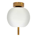 Plafon Apple com Globo em Vidro Leitoso PL-SU31098-1 Starlux ST1707