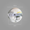 Pendente Zeki ZR144-GD Starlux + 4 LED G95 4W Âmbar ST2636-Starlux-Starlumen