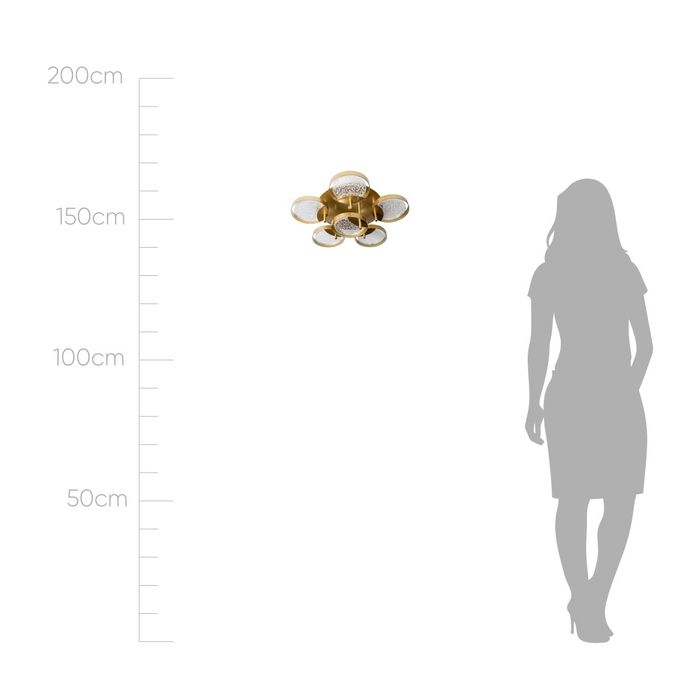 Plafon Emma Ouro Fosco 6x LED 4W 2700K LT011 Starlux ST2572-Starlux-Starlumen