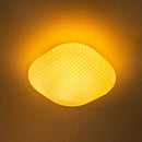 Plafon Ozzy Branco Metal E Vidro P/ 2 G9 Starlux LT-001S-WH St1951-Starlux-Starlumen